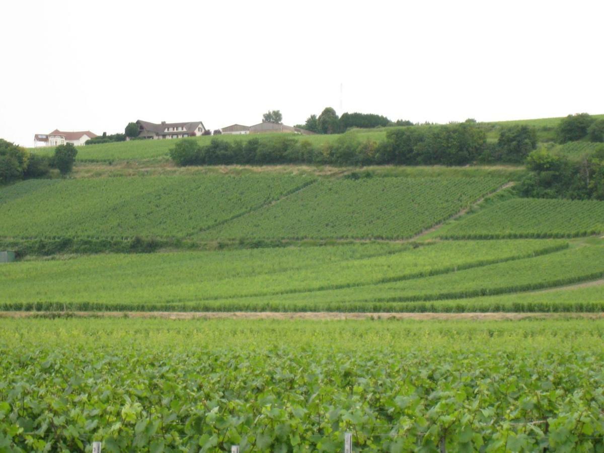 La Chambre D'Amis La Costignieres Montgueux Luaran gambar