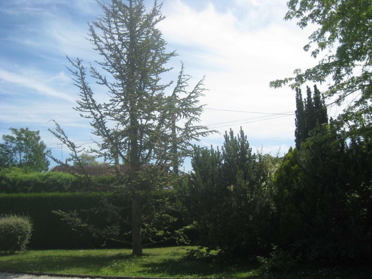 La Chambre D'Amis La Costignieres Montgueux Luaran gambar