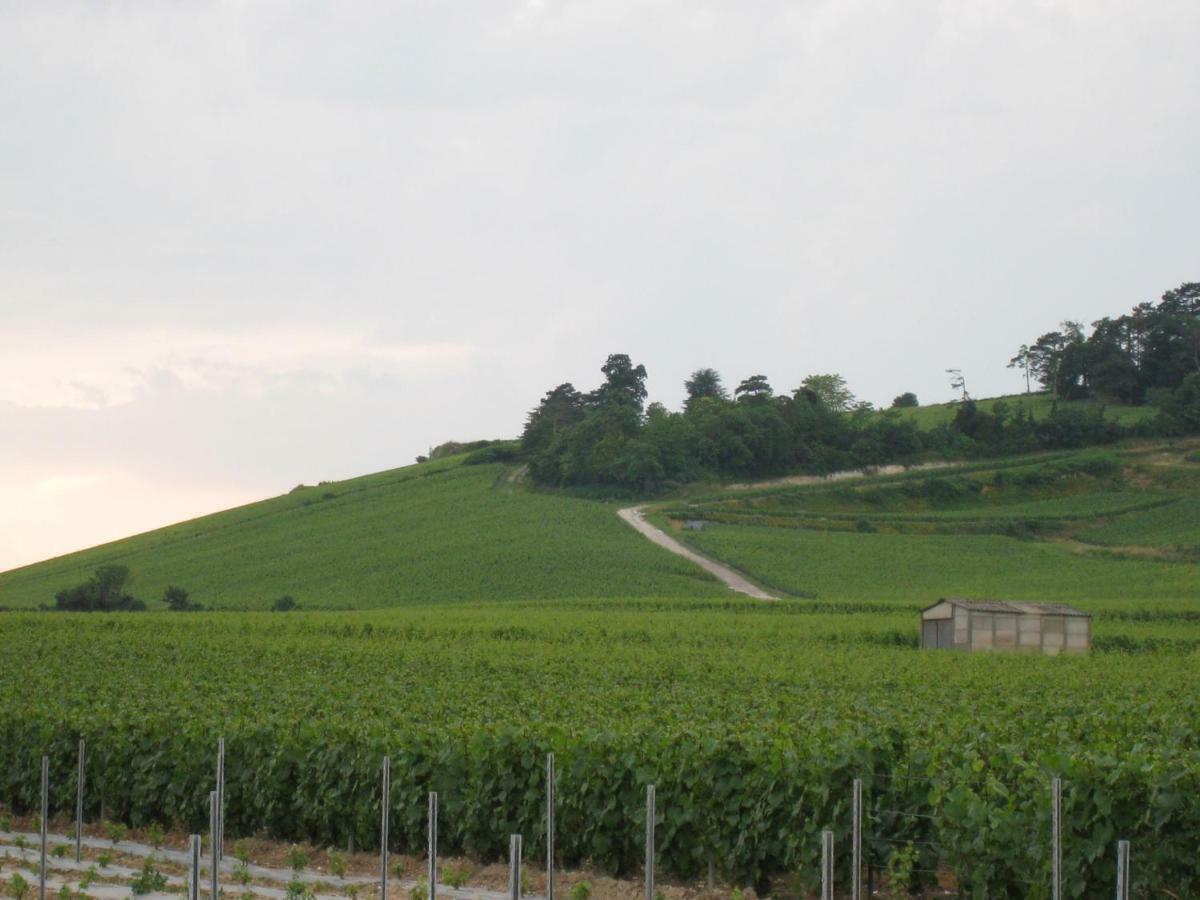 La Chambre D'Amis La Costignieres Montgueux Luaran gambar